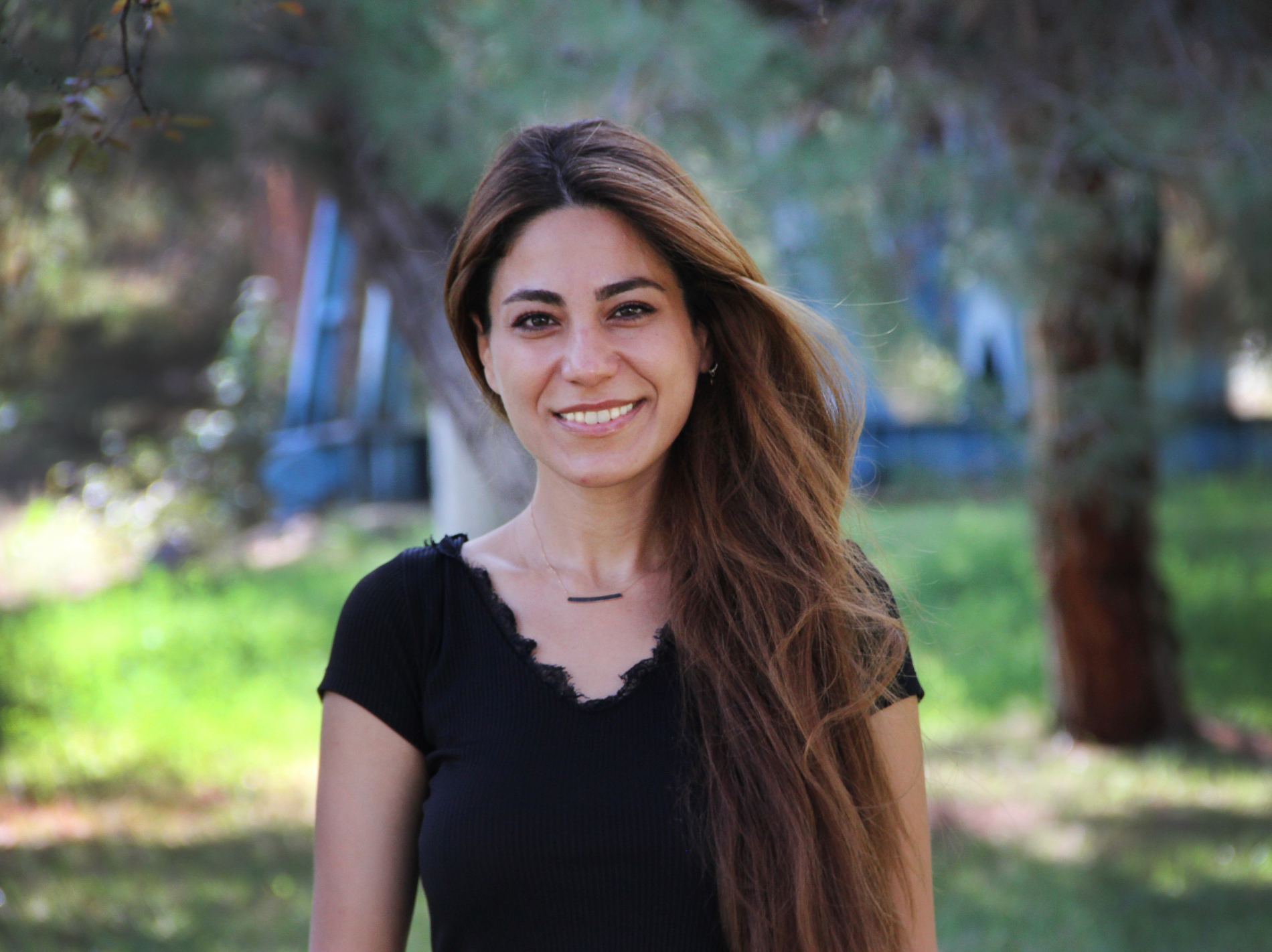 Yönetim Kurulu Üyesi